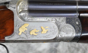 Perugini & Visini Maestro 12ga 31" Sporting (905) West